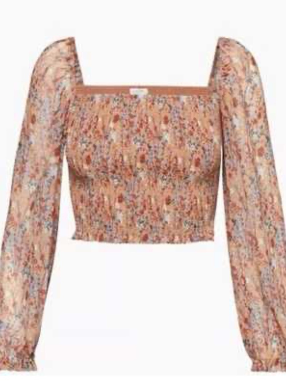 Wilfred Rust Smocked Floral Puff-Sleeve Crop Top